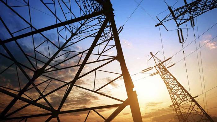 TCN says Power grid collapsed six times in eight days in January