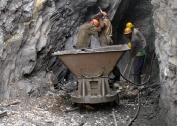 Miners oppose removal of mining from exclusive list