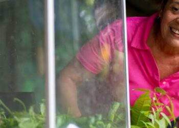 FAO and EU highlight vital role of biodiversity in building sustainable food systems
