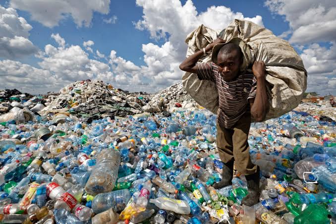 Tackling Africa's environmental challenges